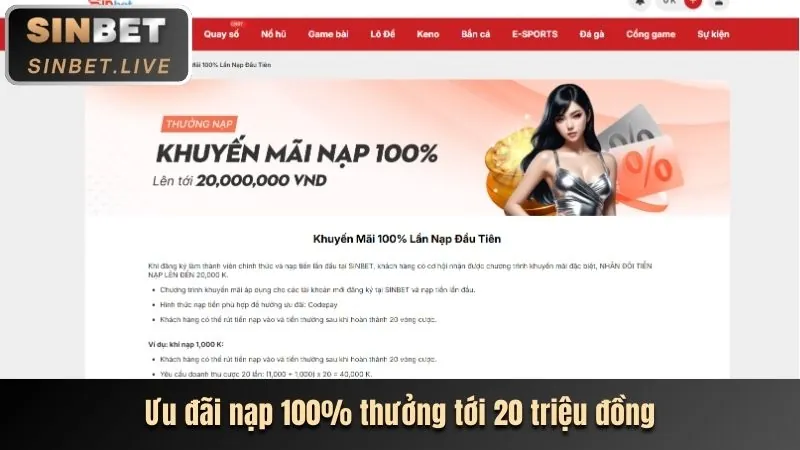 Hoàn trả hàng ngày 28 bets